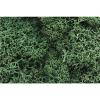 Woodland Scenics - L162 - Lichen - Light Green